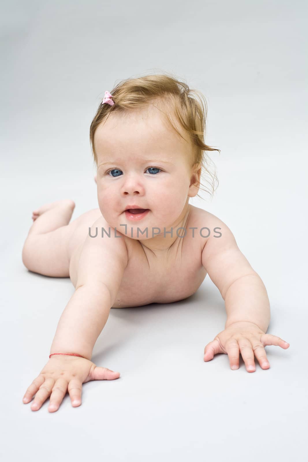 portrait little baby on the white background