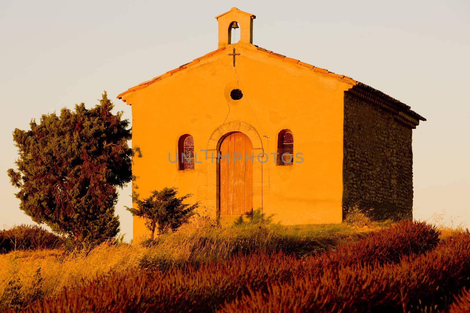 chapel with lavender field, Plateau de Valensole, Provence, France