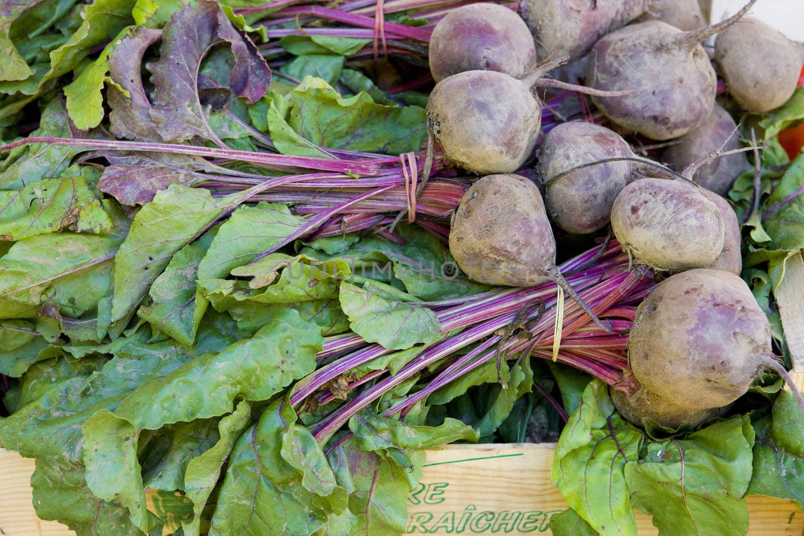 red beet, street market in Valensole, Provence, France