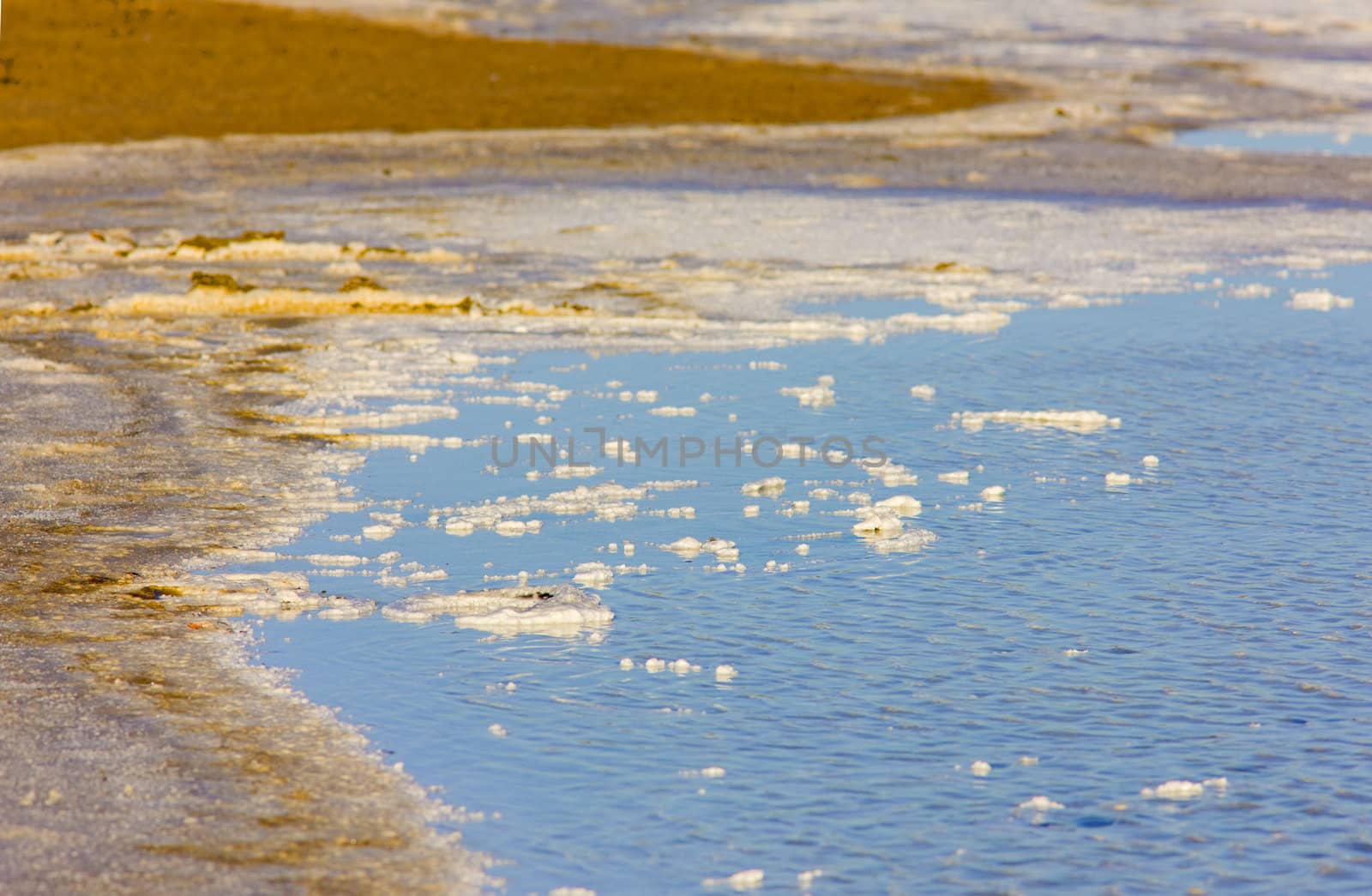 Parc Regional de Camargue, Provence, France