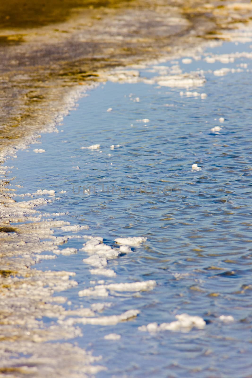 Parc Regional de Camargue, Provence, France