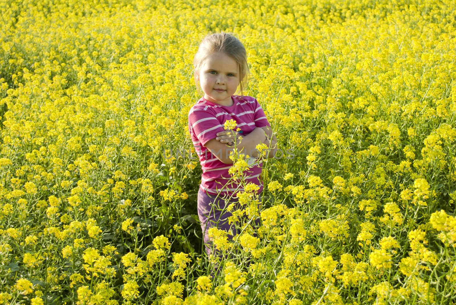 The girl on a meadow by A2SP