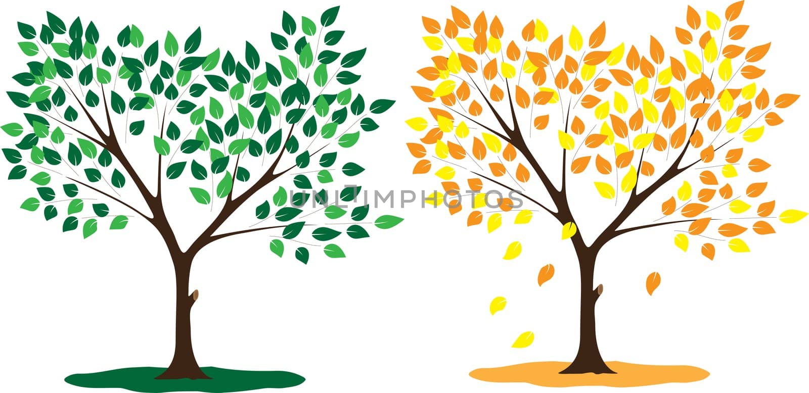 Tree seasons summer and autumn by rodakm