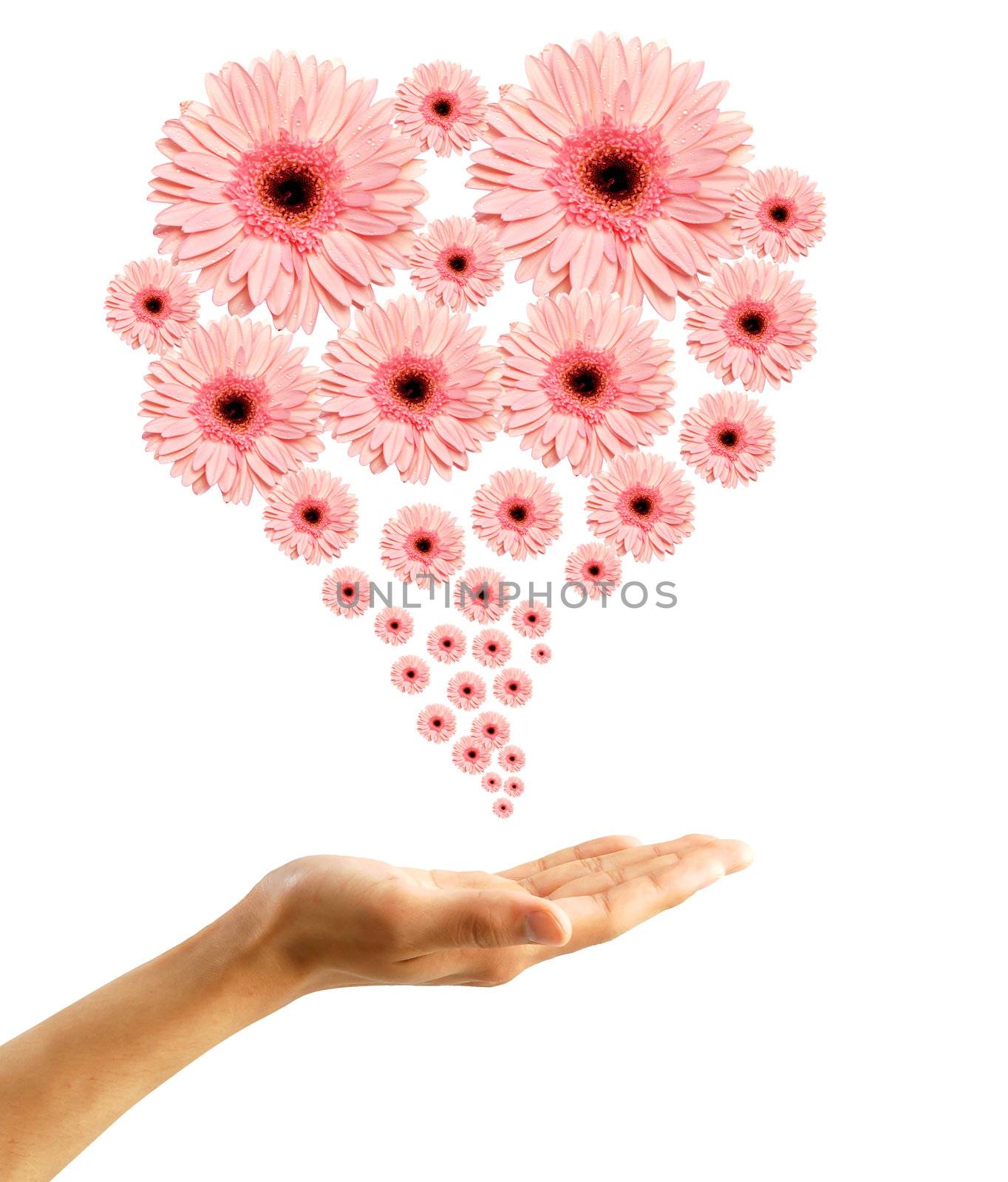 Woman's hand with flowers  by rufous