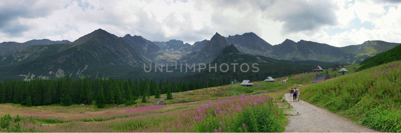Panorama of the beatiful Polish mountain Tatras