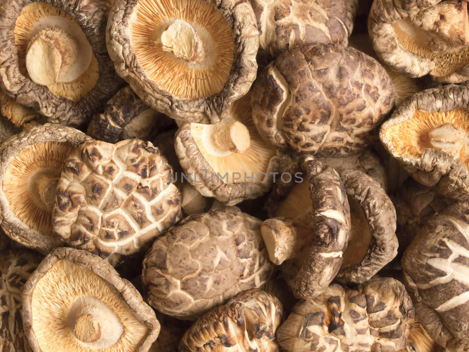 close up of dried shitake mushrooms food background