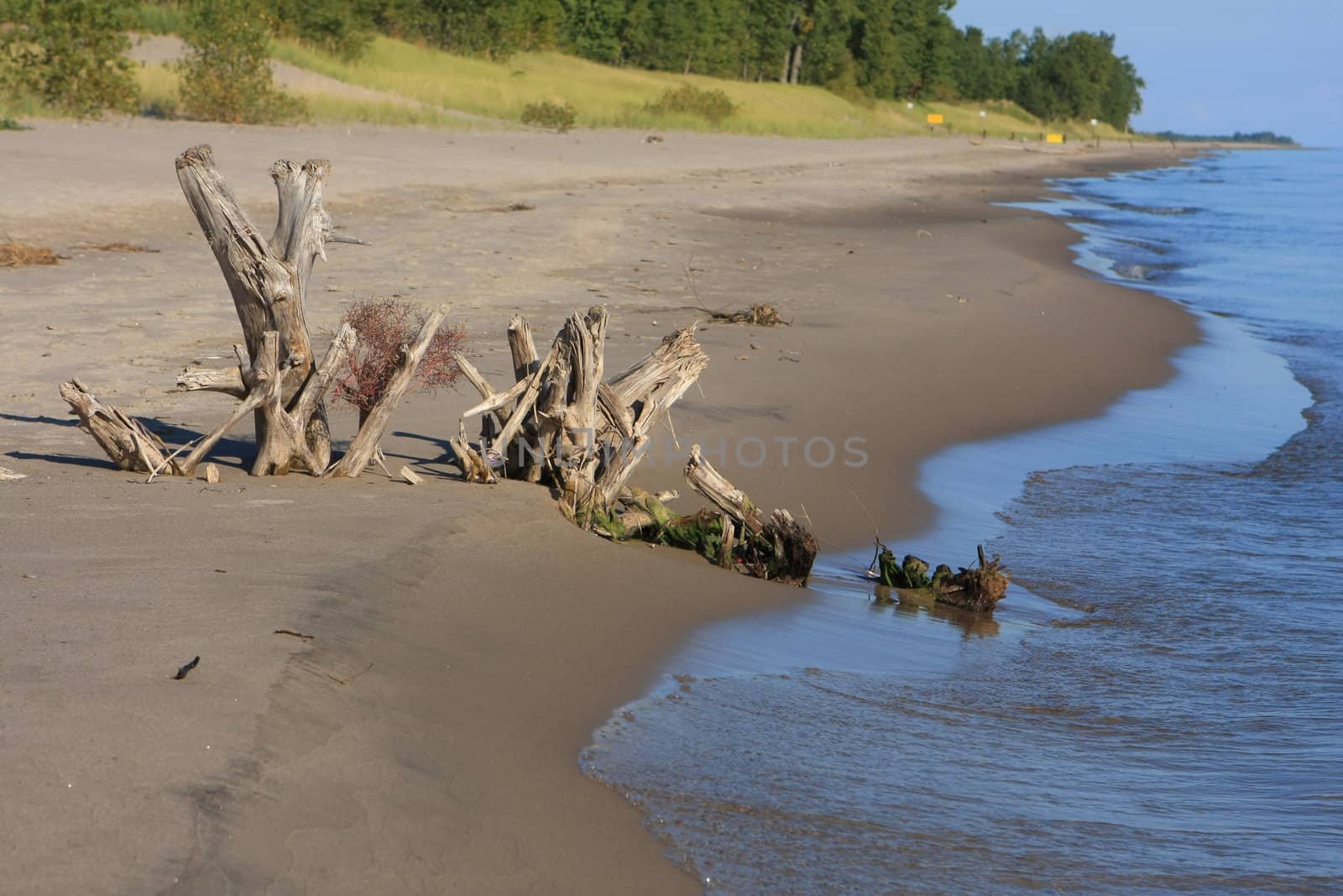 The Beach Long Point Provincial Park