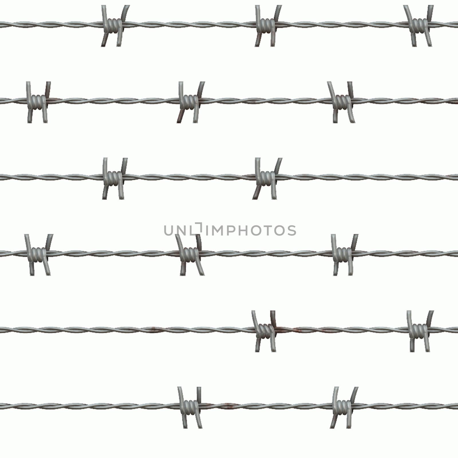 barbed wires isolated on white back ground