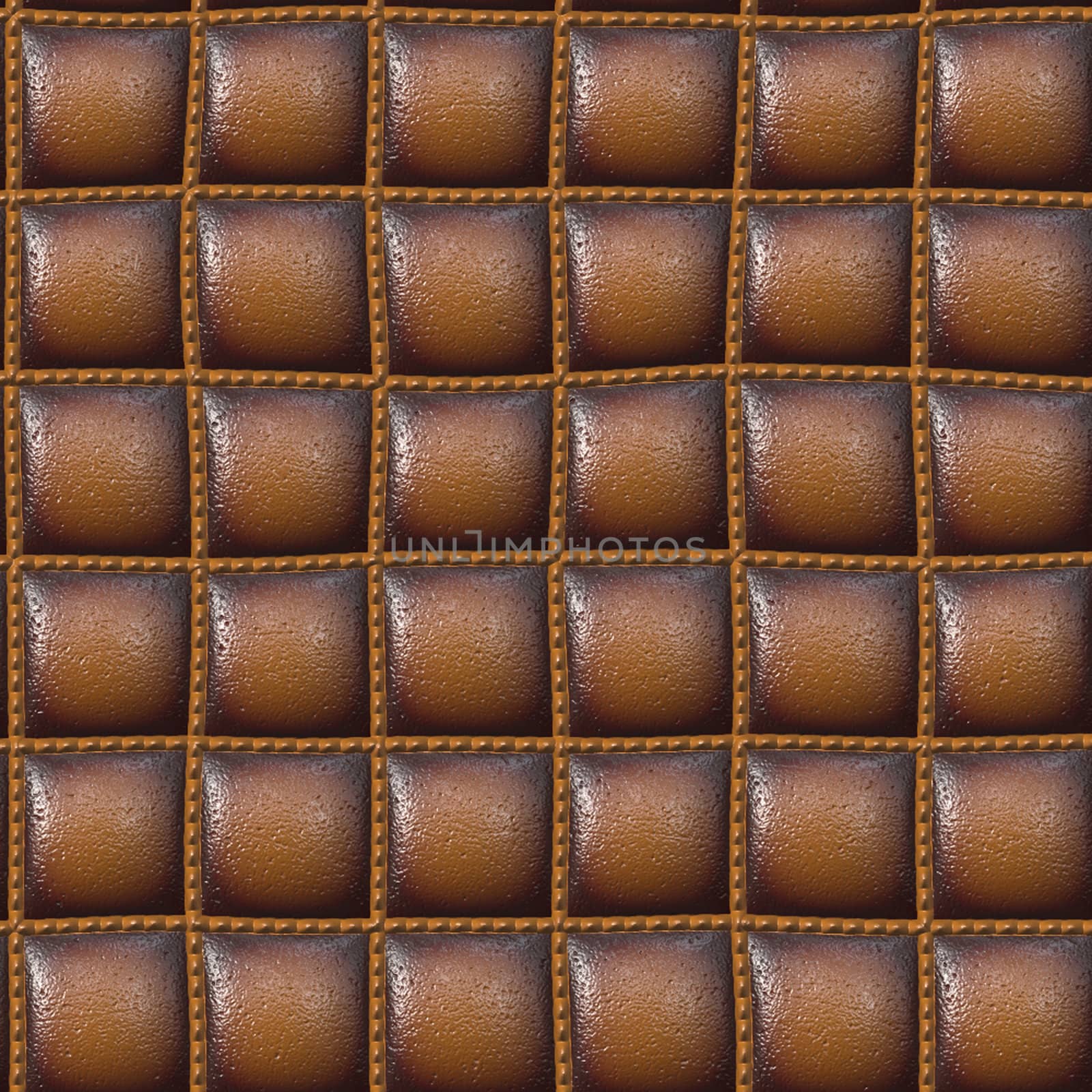 shinning brown leather upholstery
