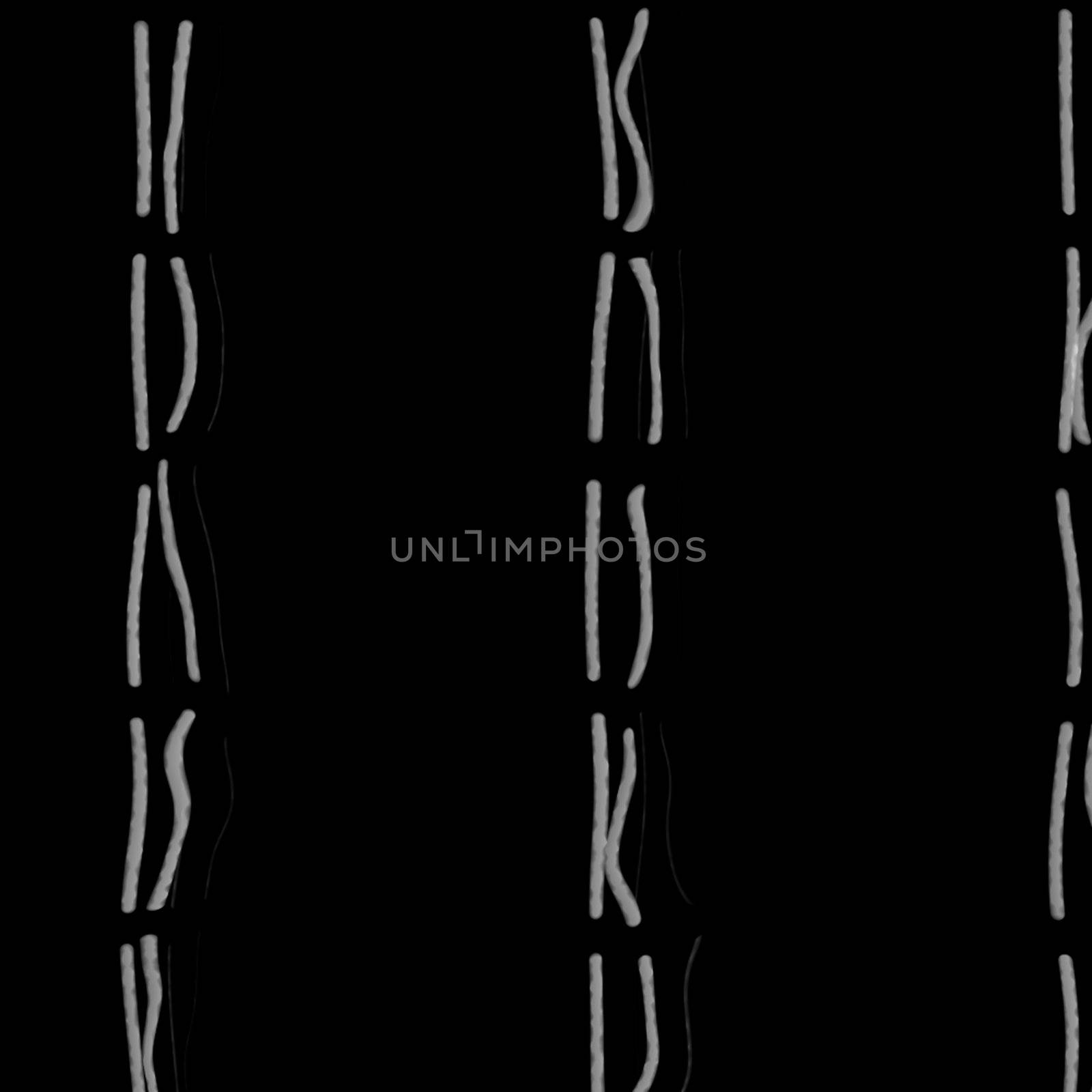 strands of human chromosomes