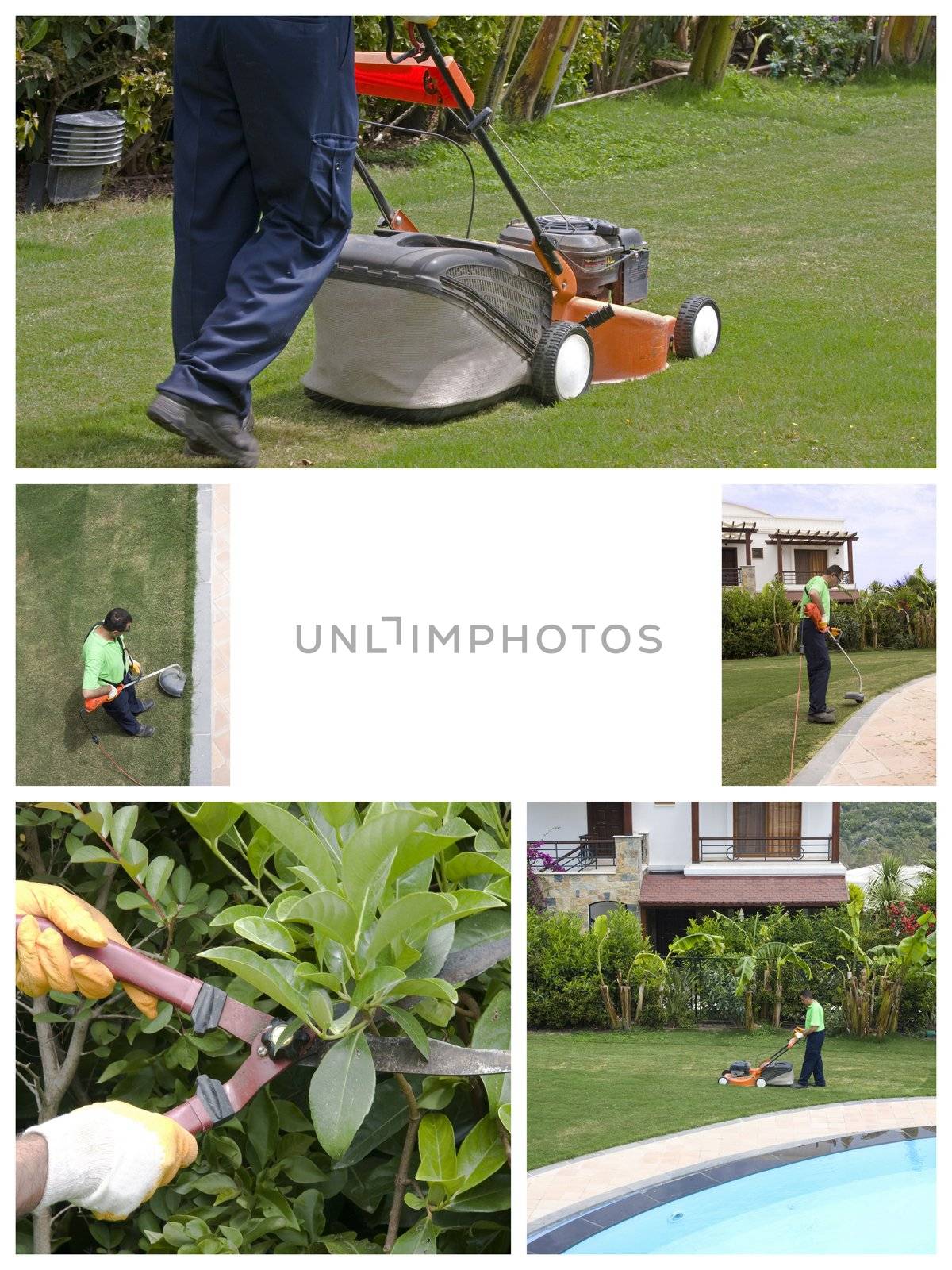 A gardener is cutting grass with machine