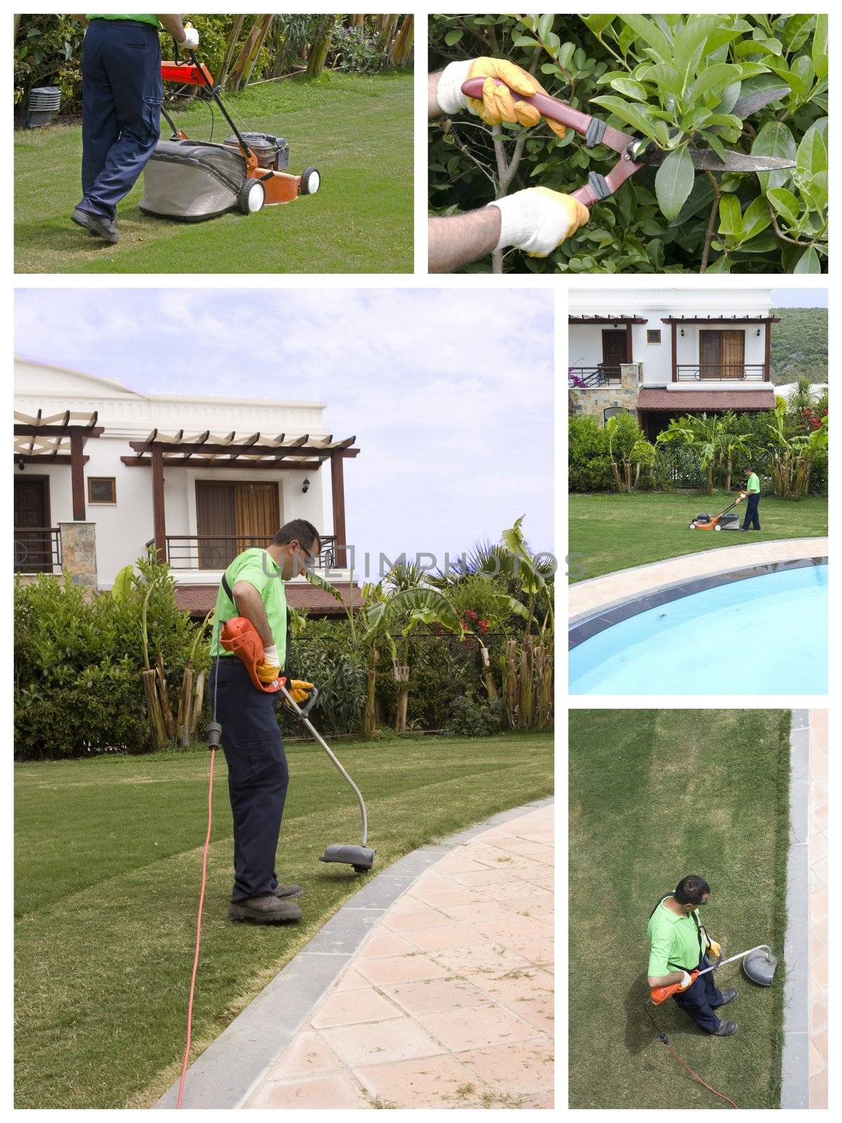 A gardener is cutting grass with machine