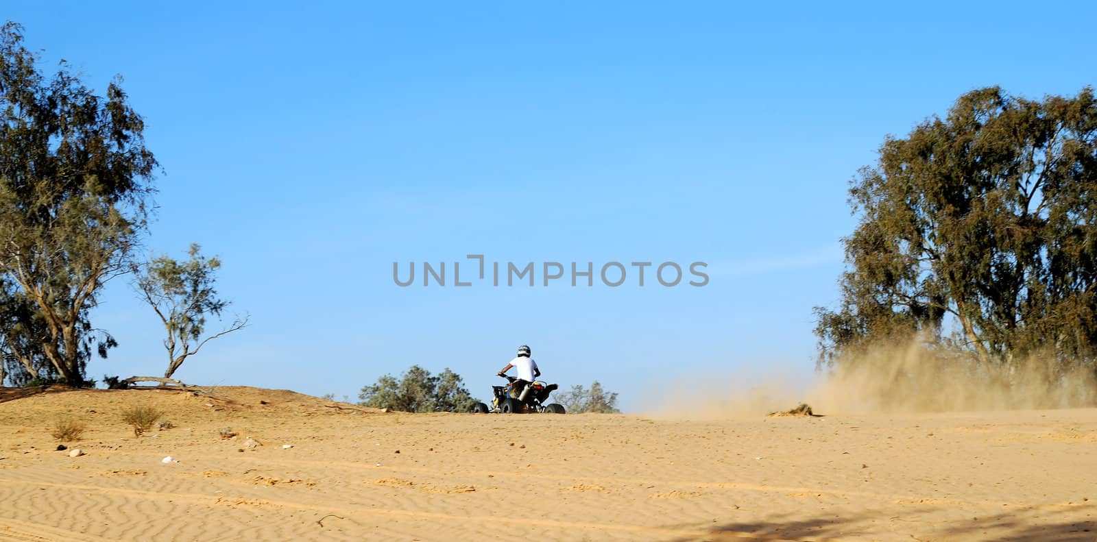 Two young men on quadbike in desert