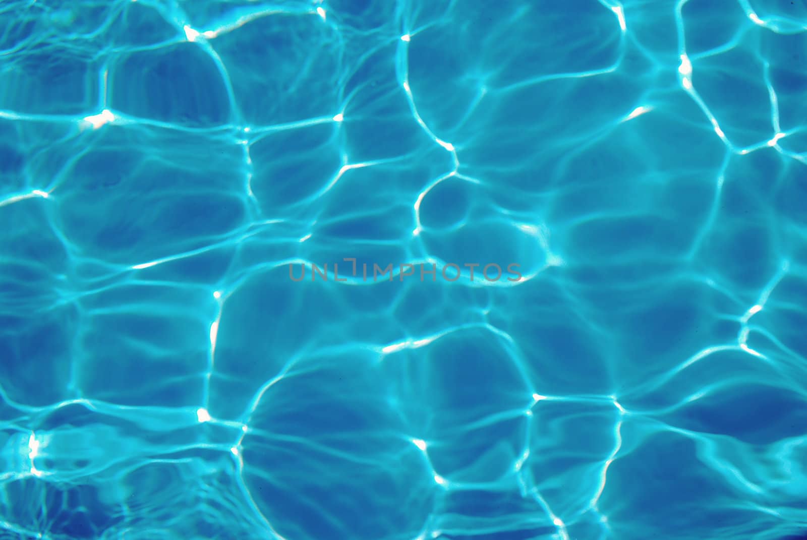 The summer sun reflected in the water 