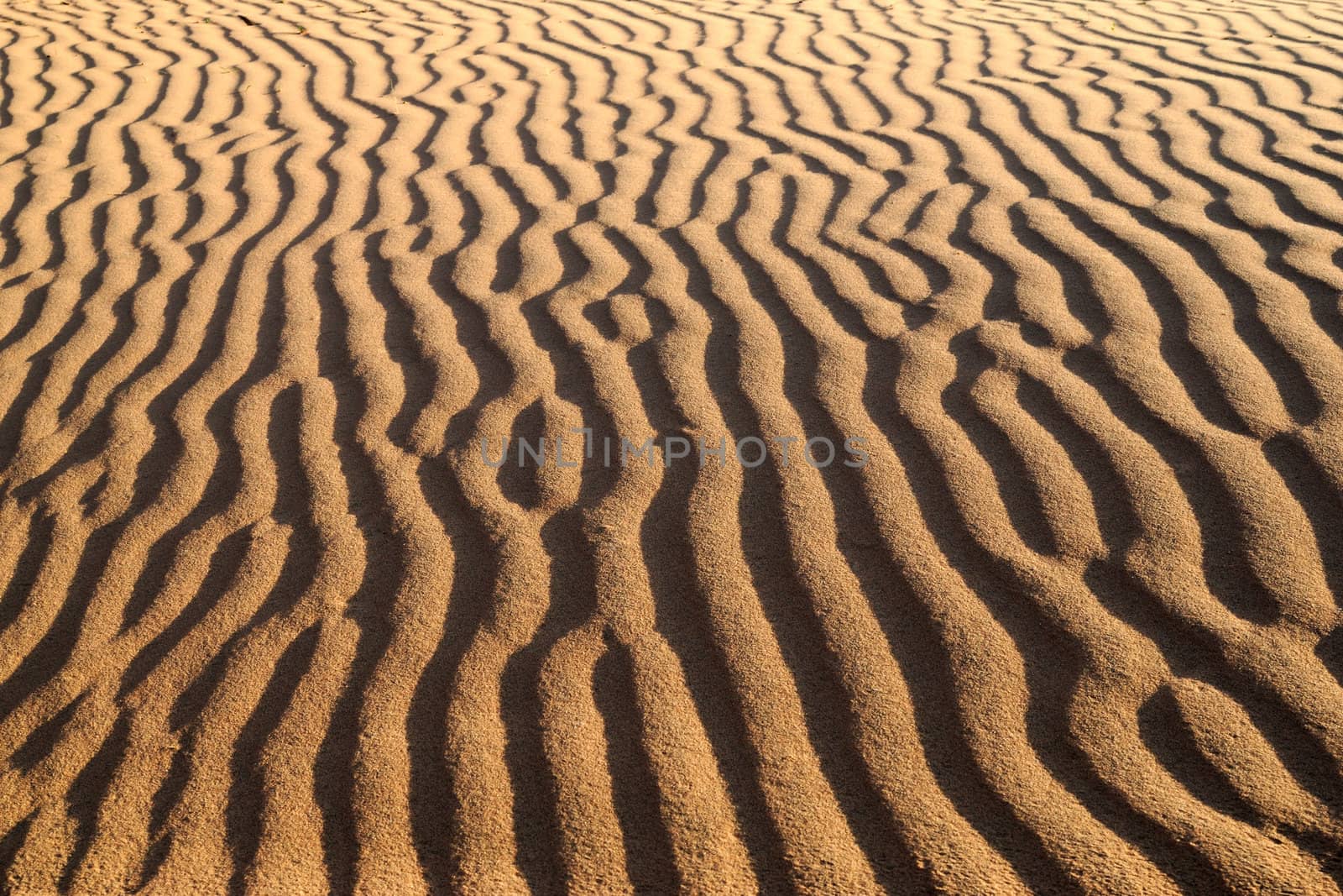 Wavelike ripples of sand, can use for background.