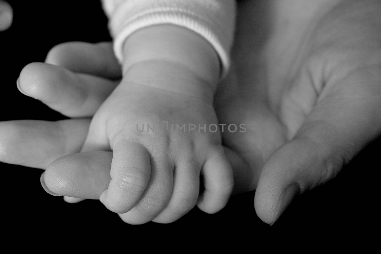 Hand of baby in the adult hand