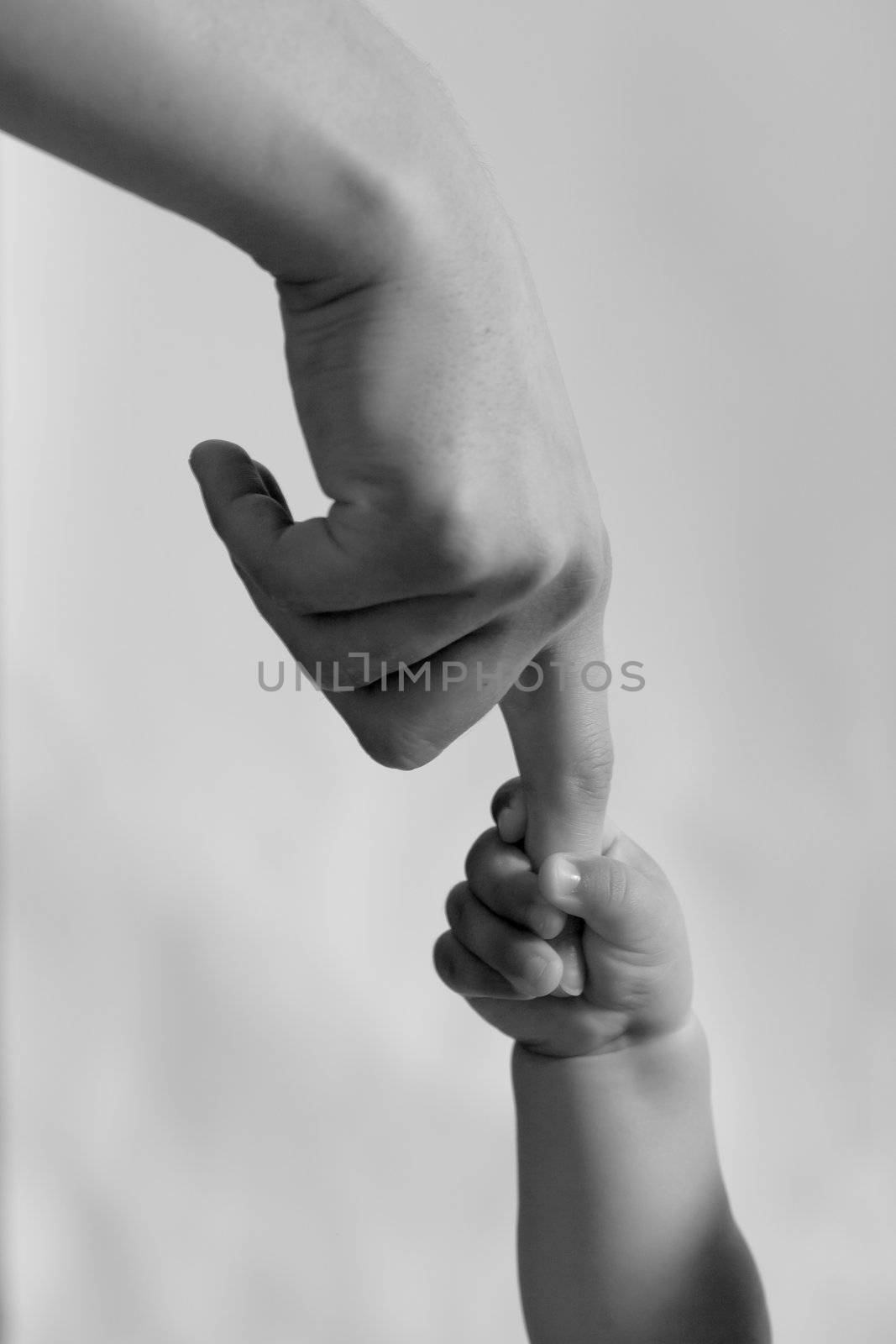 child hand hold by the adult hand