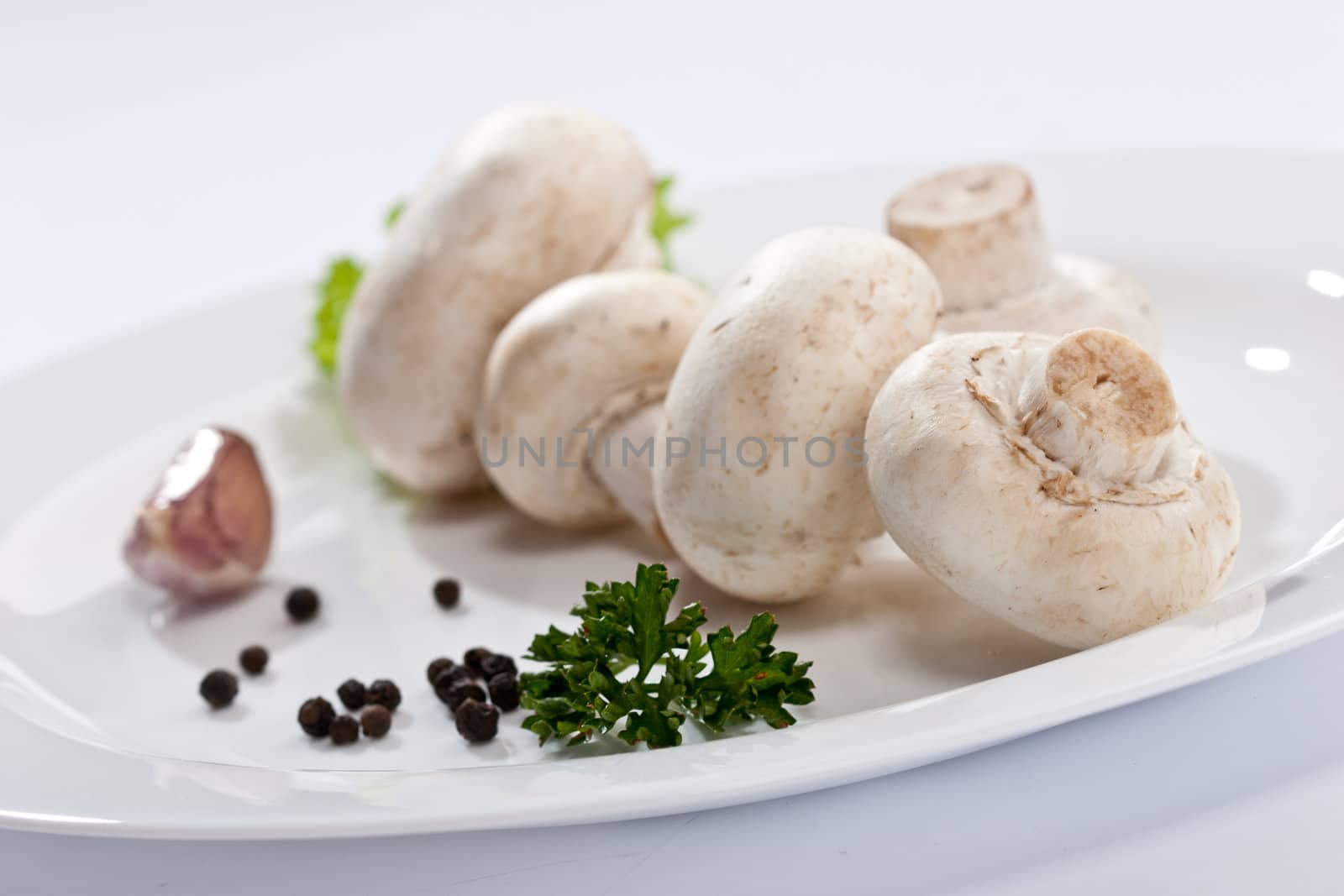 mushroom by agg