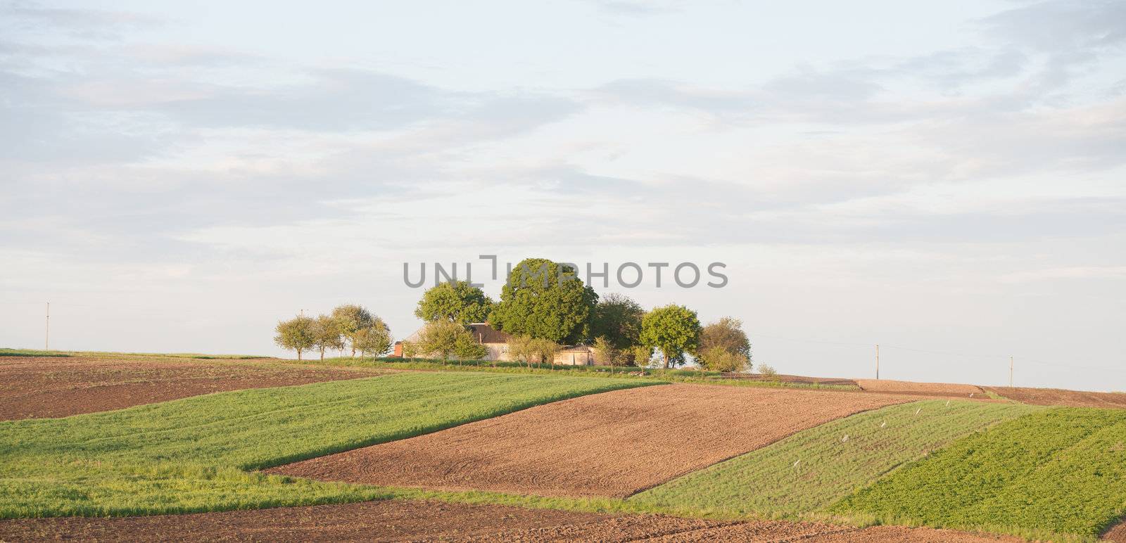 landscape series: summer view of