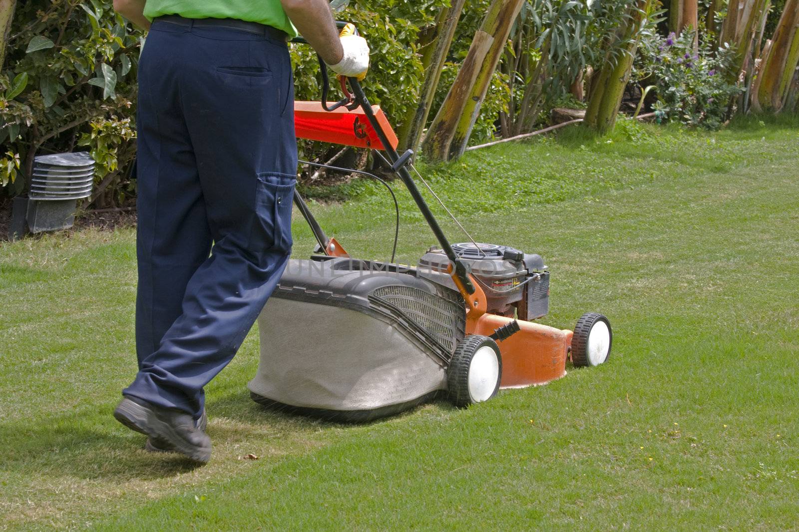 A gardener is cutting grass with machine