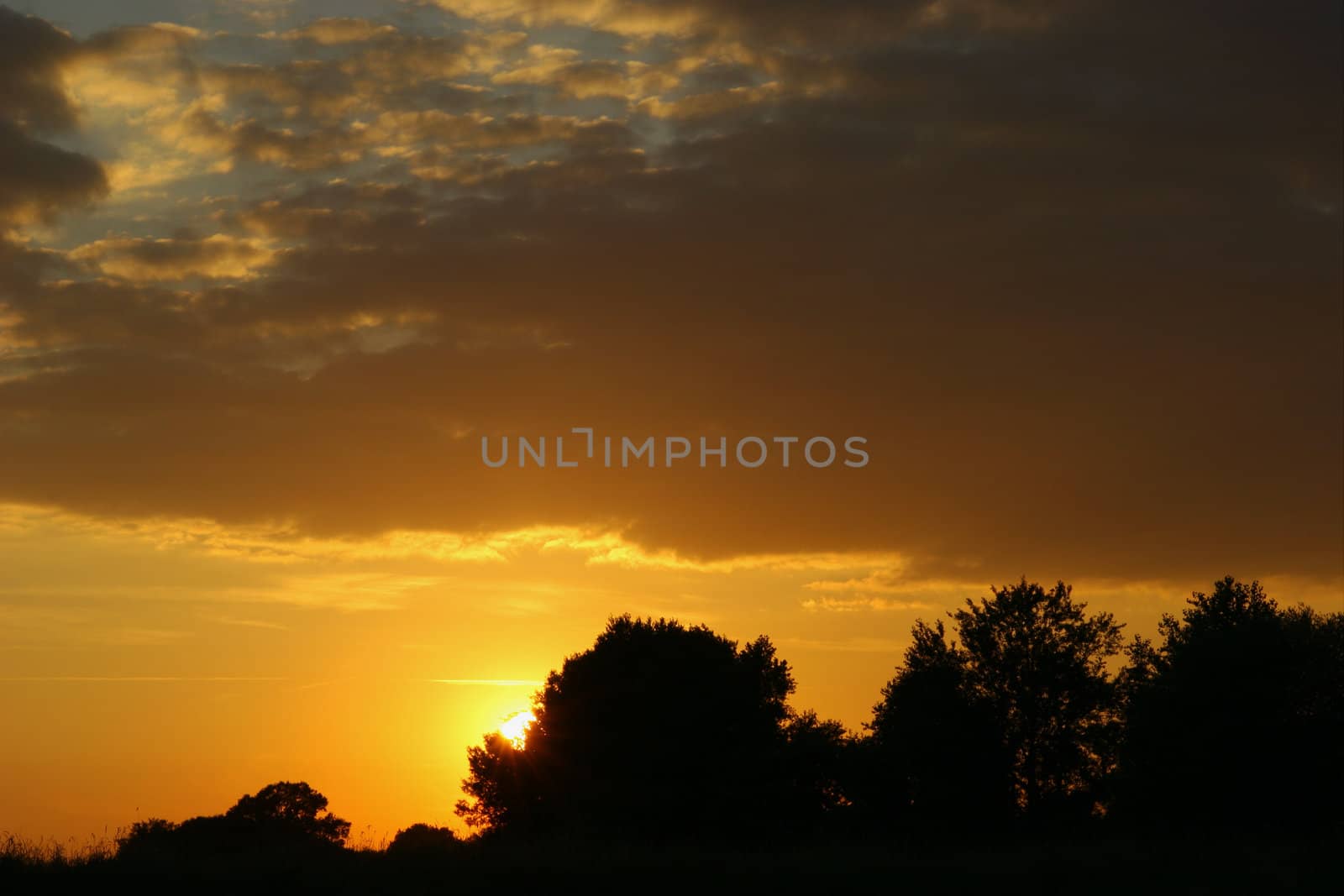 Sunset on the River Elbe in Saxony-Anhalt / Germany