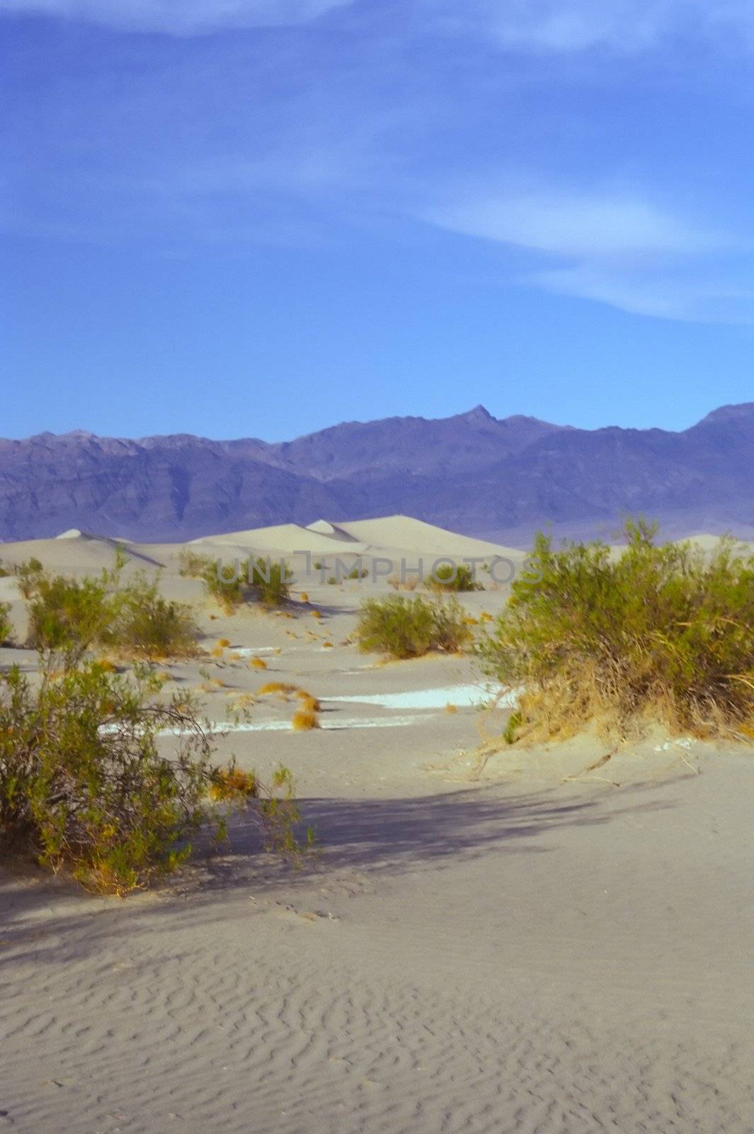 Stovepipe Wells Dunes, Tucki Mountain, and morning clouds, Death Valley National Park, California. After shooting early farther out in the dunes, I encountered this scene while starting my hike back to my car. When I first arrived here the sand was almost entirely in shadow, with only a few of the taller waves beginning to catch the sun. I composed a shot and waited as the sun light gradually began to come over a low ridge to the left, lighting up the sand - and as the band of clouds moved into position over Tucki Mountain, as if on