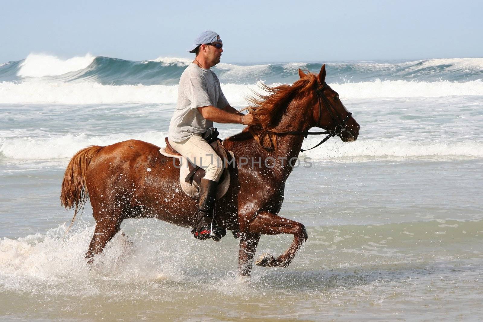 Beautiful horse with rider in the shallow water at the beach