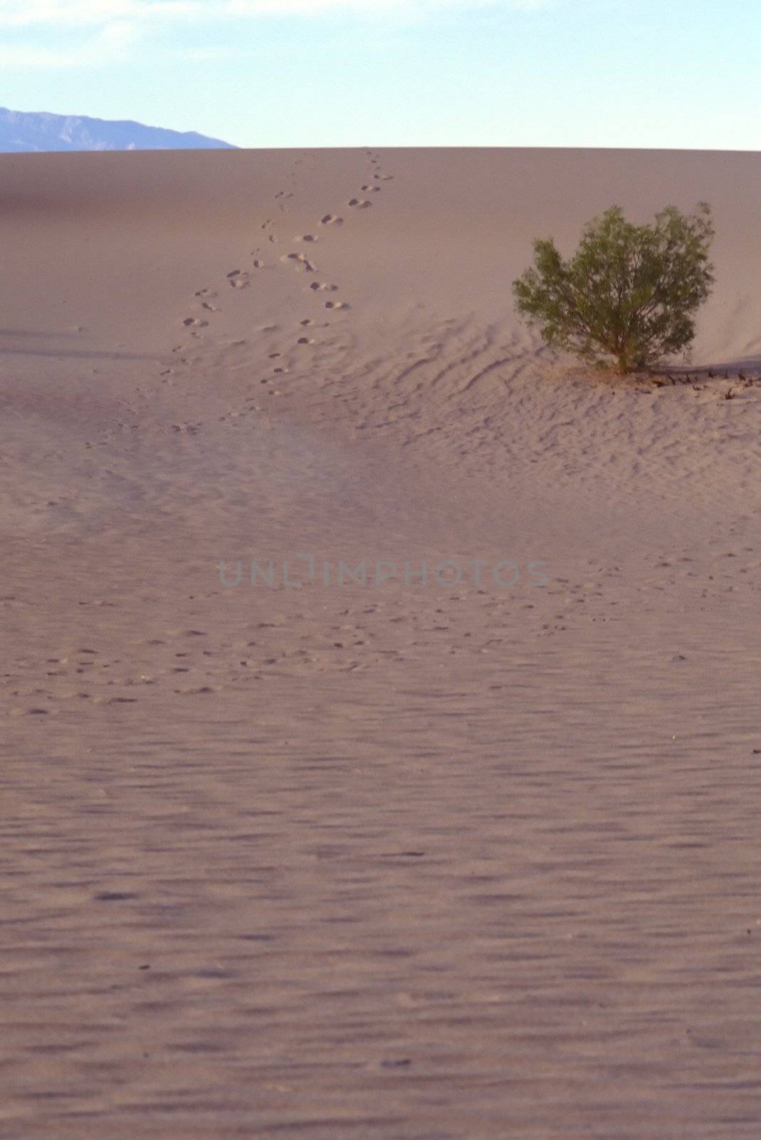 Stovepipe Dunes by melastmohican