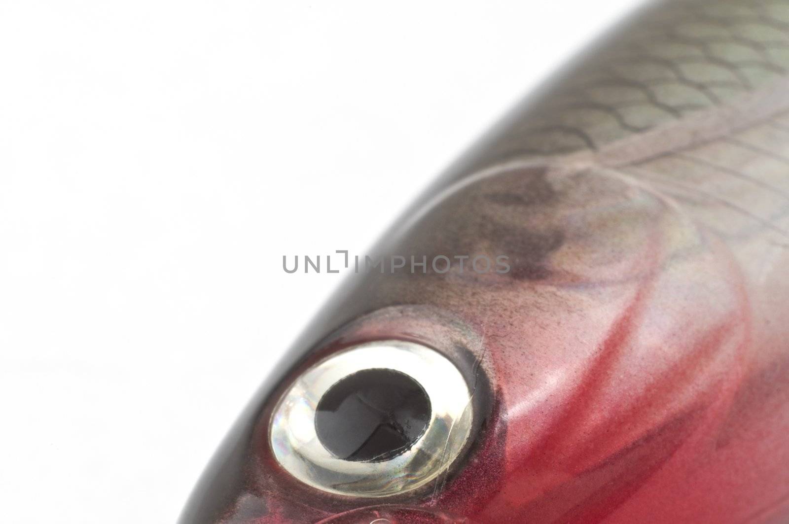 detail of fishing lure
