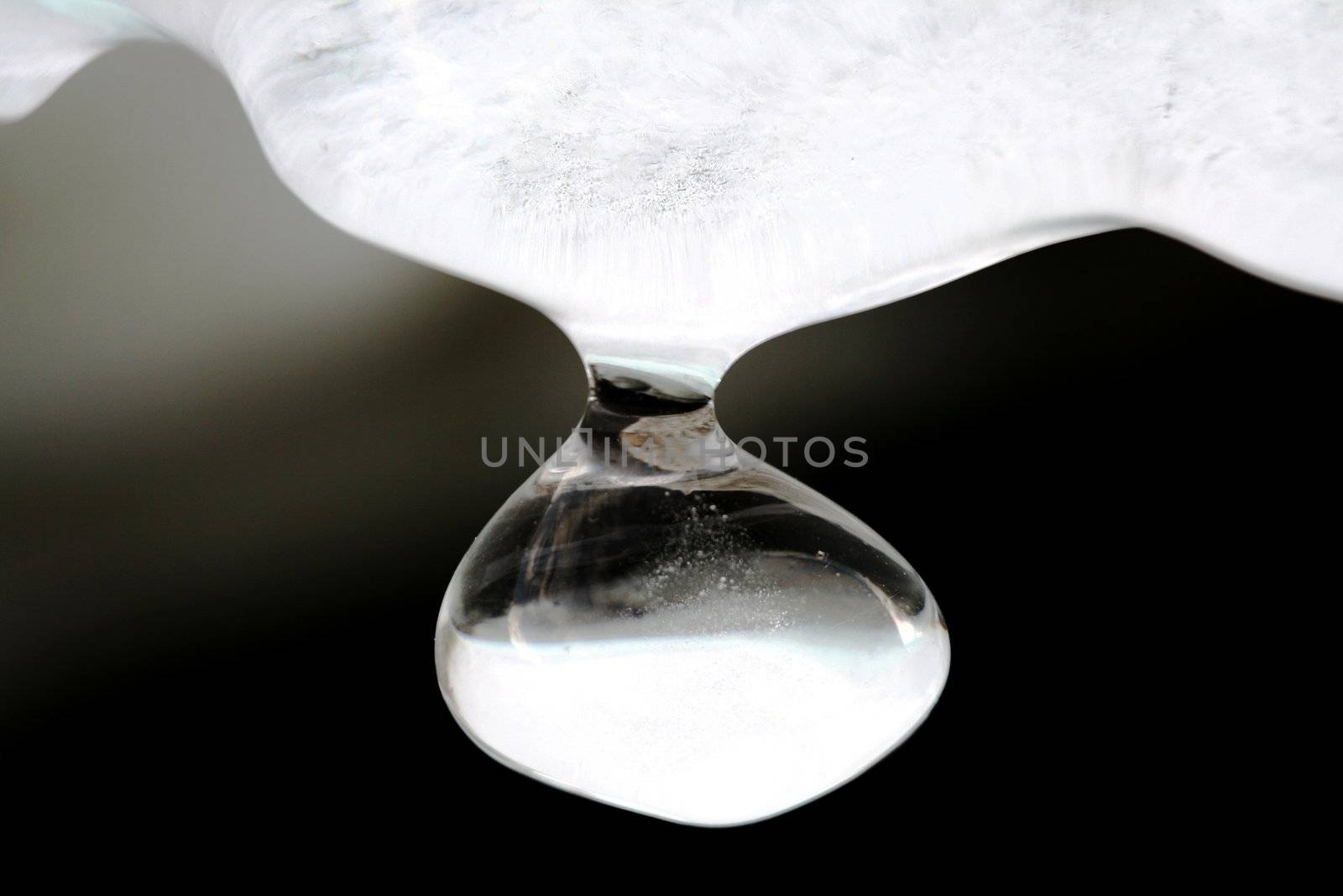 Close view of a wonderful round icicle on a dark background