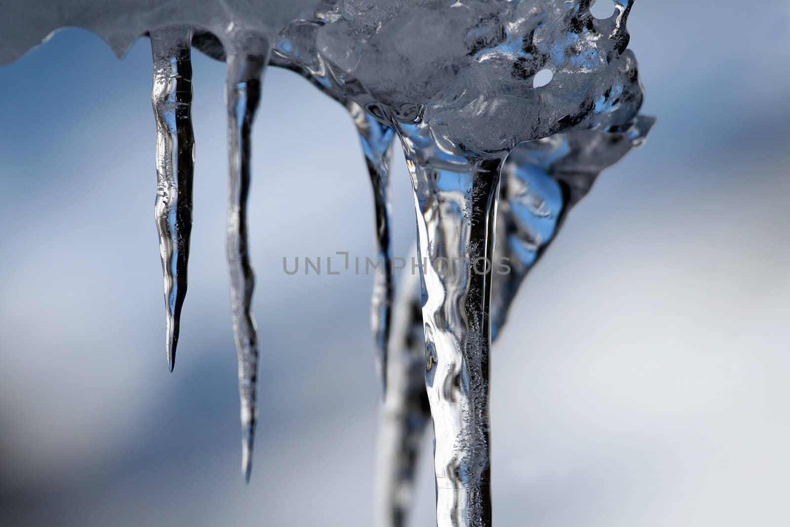 Close view of a group of icicles with a wonderful form