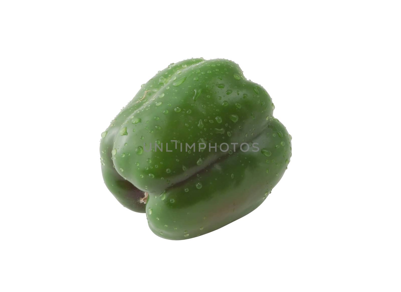 isolated wet green paprika with drops