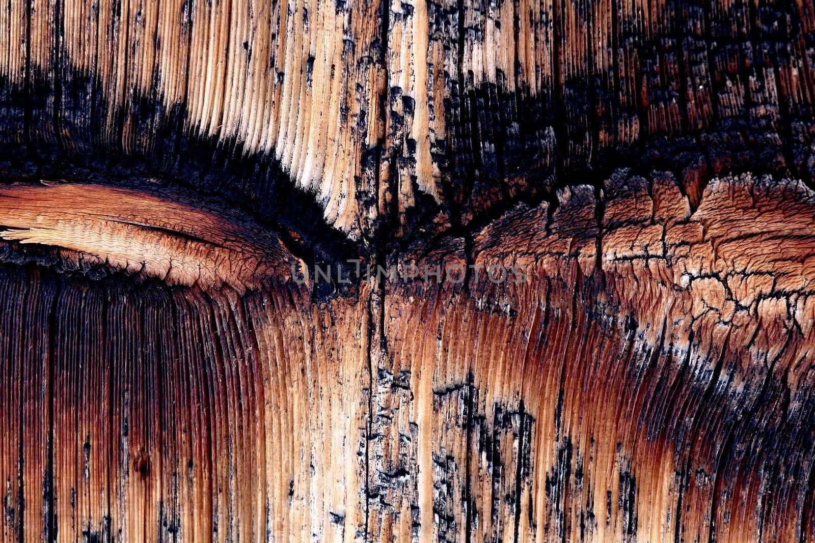 Close view of a rustical wood background