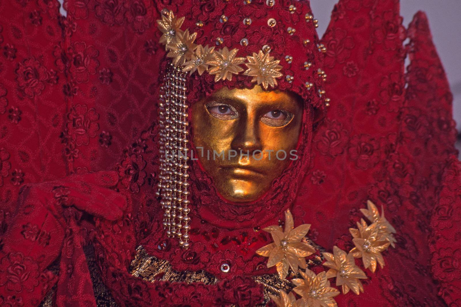Carnival in Venice, Mask 111b by Natureandmore