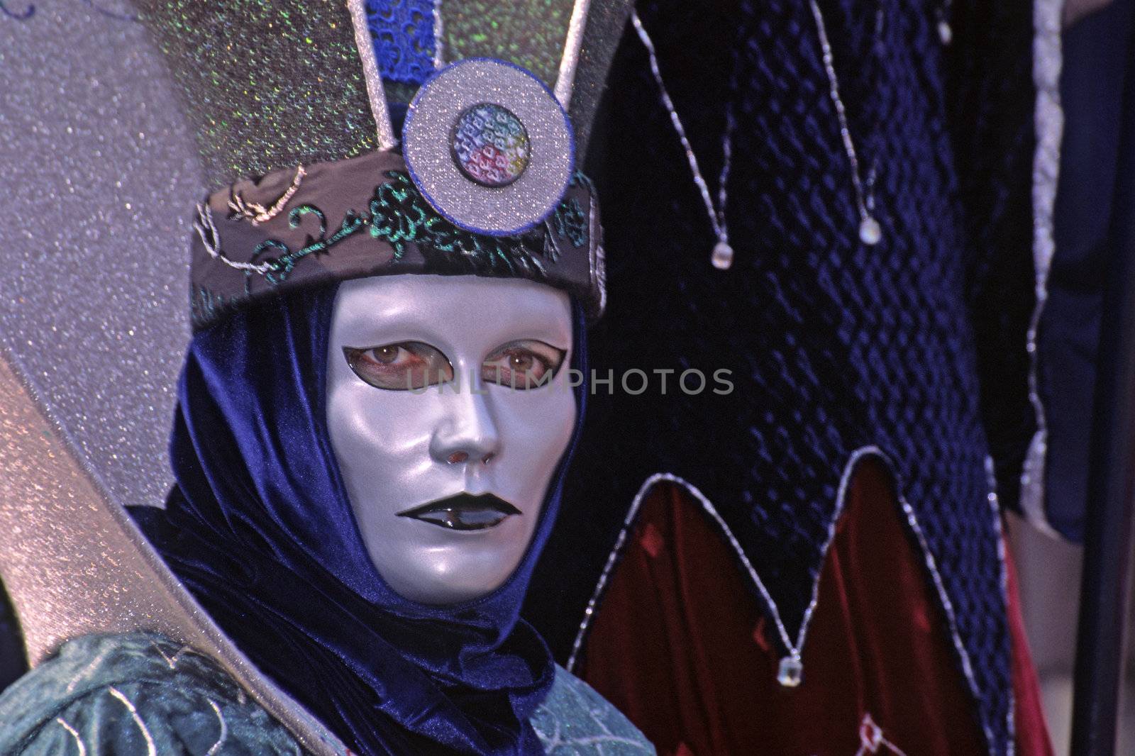 Carnival in Venice, Mask 142 by Natureandmore