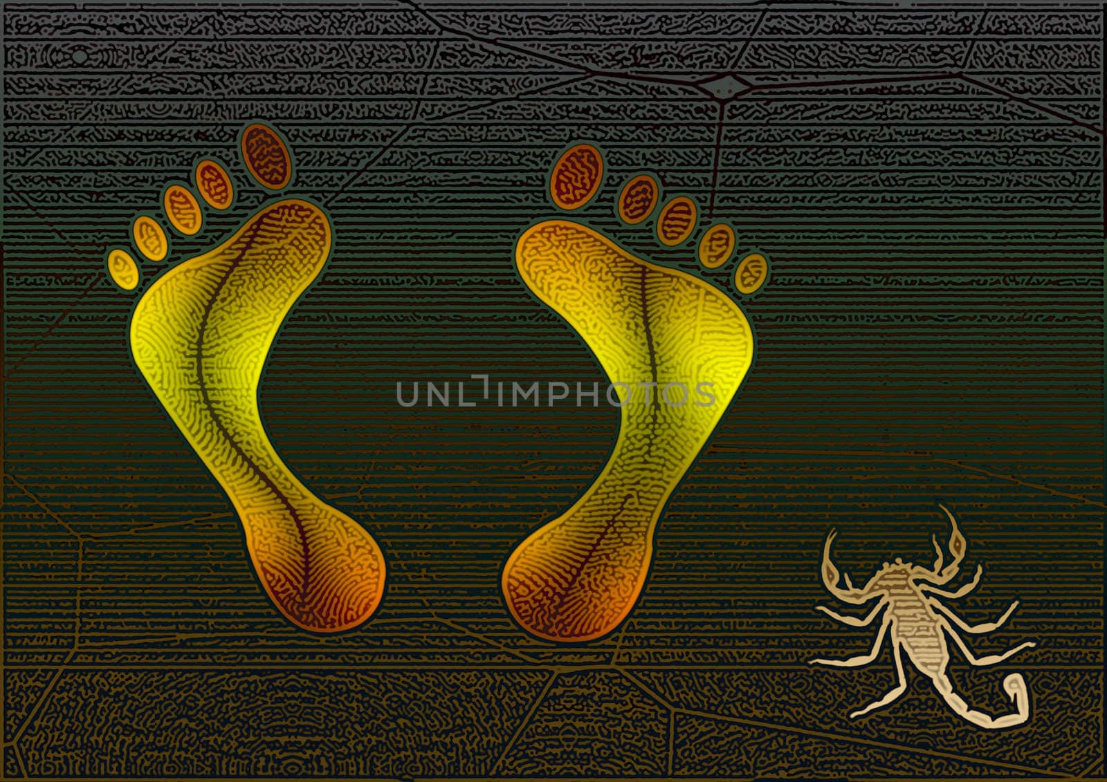 great creative textured abstract color image legs and a scorpion who wants to bite.