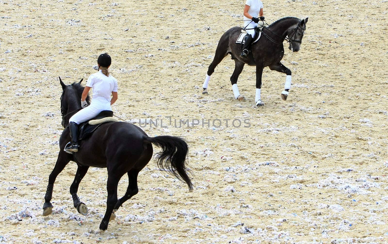 riding competition. jokey on dressage horse.