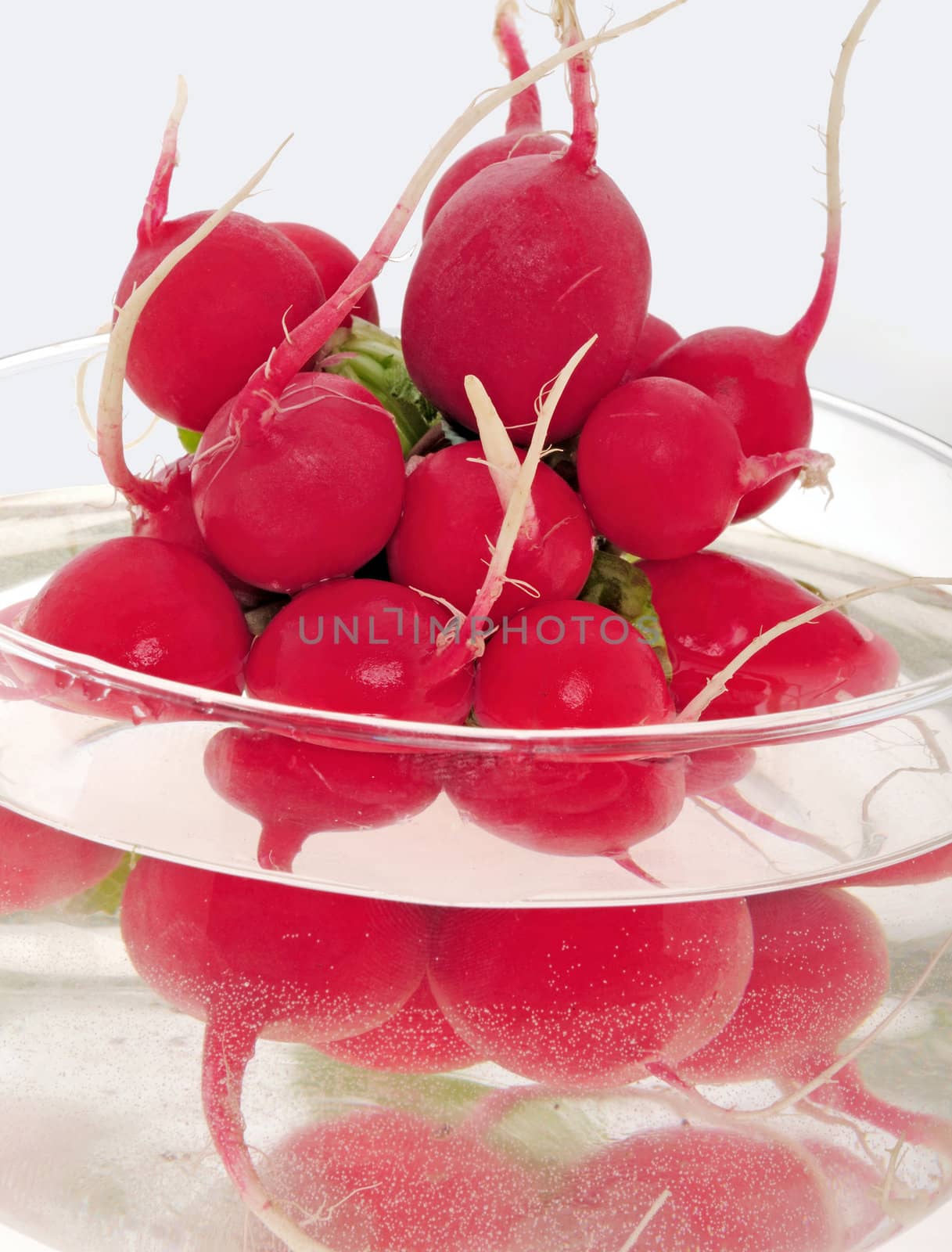 Fresh red radishes in the water