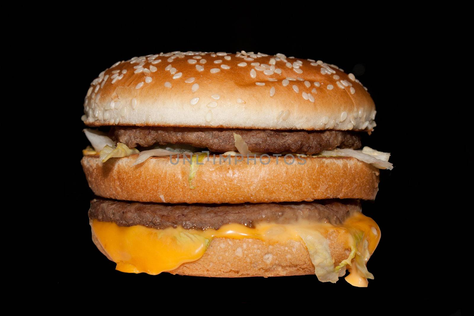 Digital photo of the real Big Mac