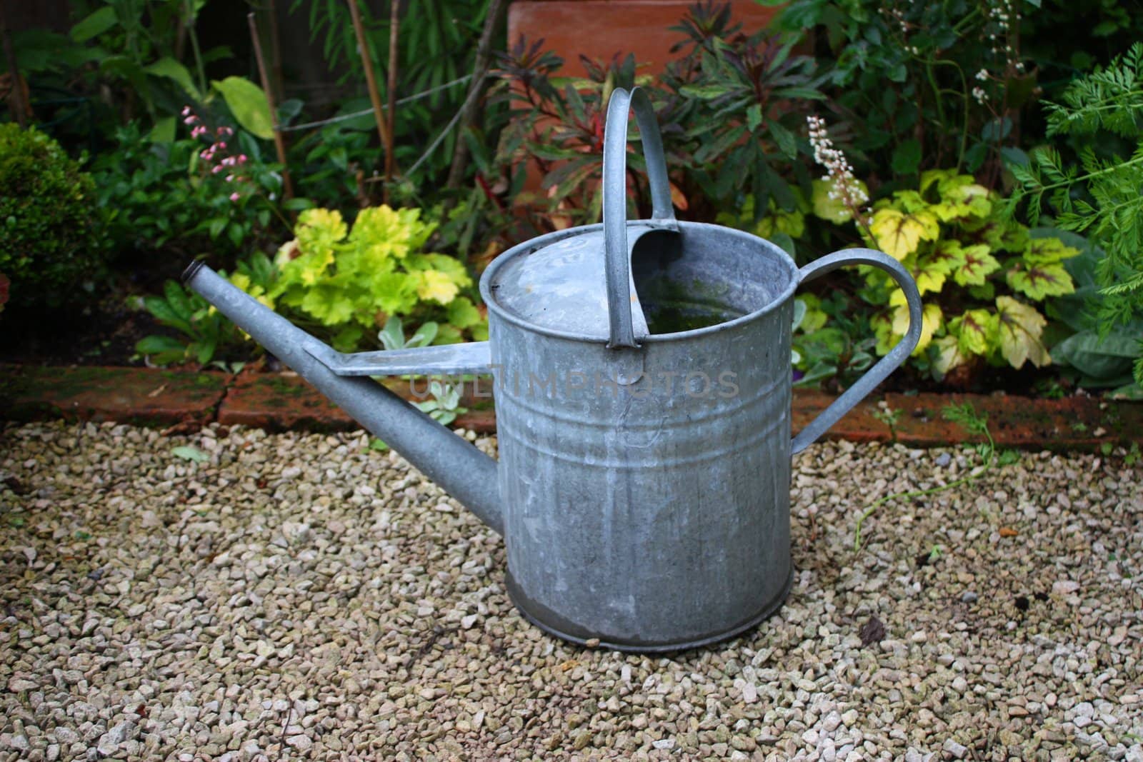 A lone, solitary watering can