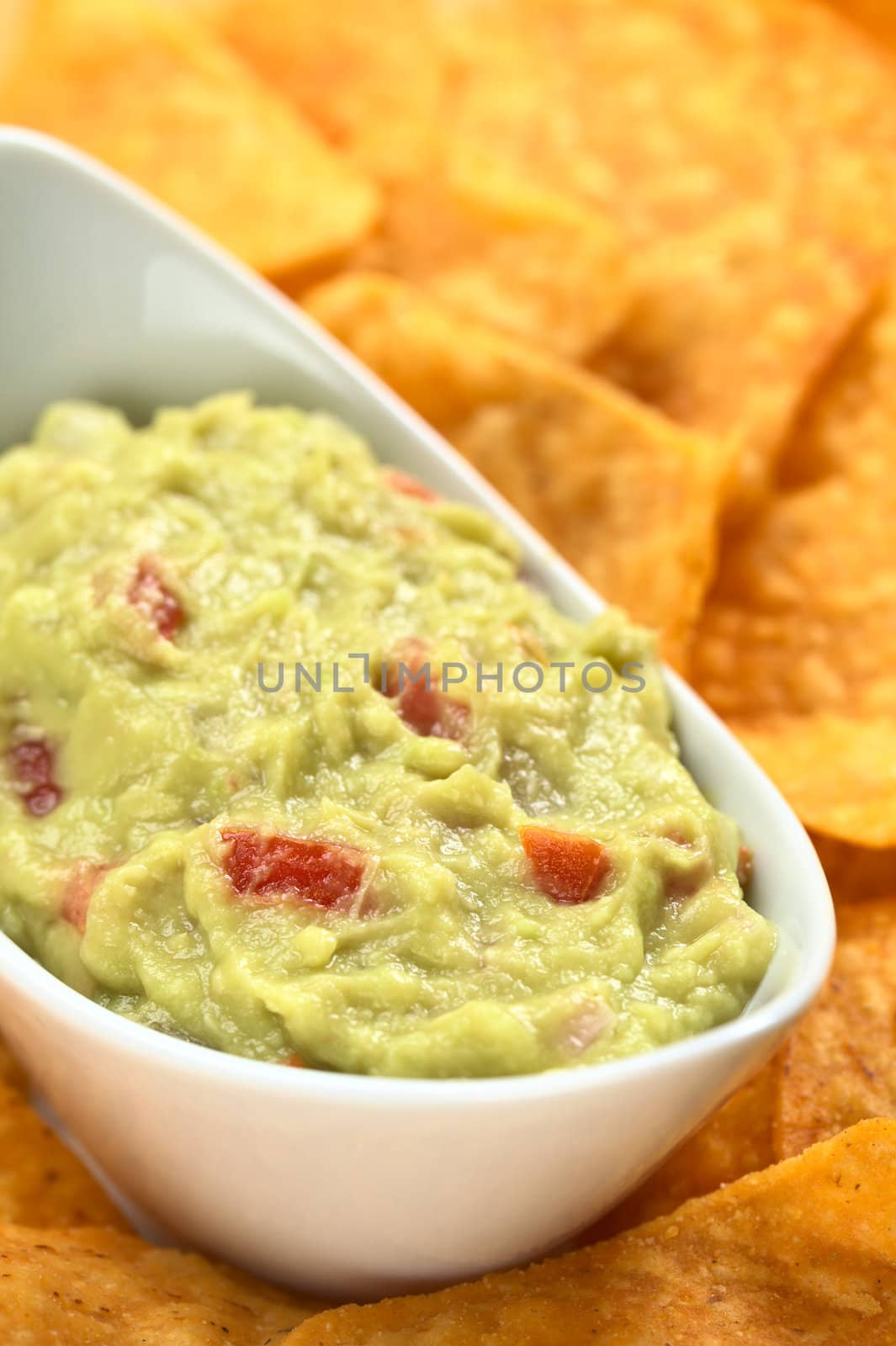 Fresh homemade guacamole, a Mexican sauce made of avocado, onion and tomato, surrounded by nachos (Selective Focus, Focus on the tomato pieces in the front of the guacamole)