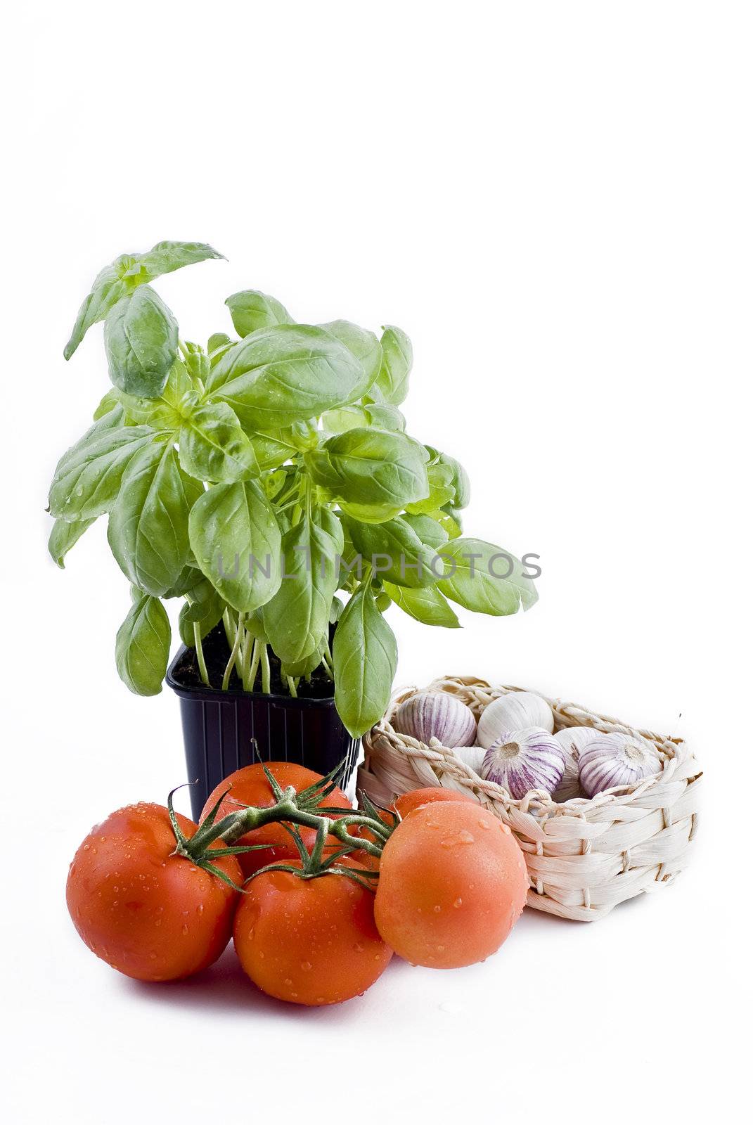 Isolated fresh vegetables - basil in pot, bunch of tomatoes and garlic basket