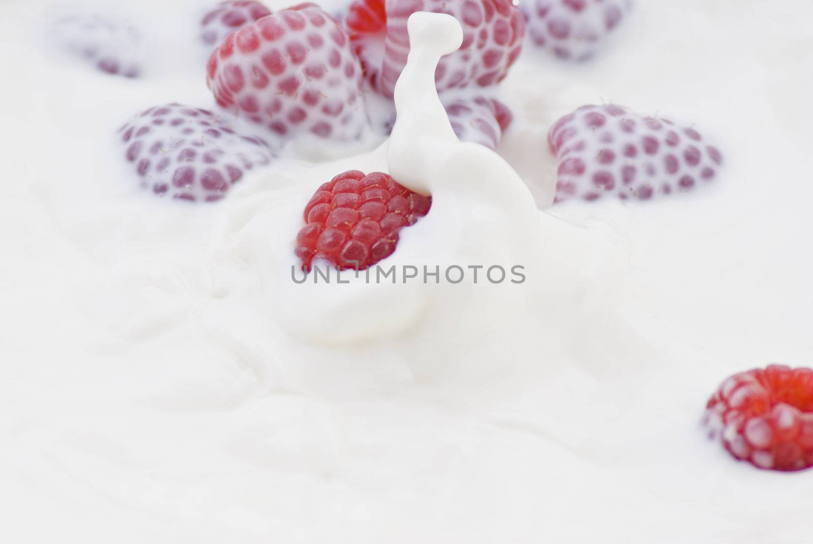 Raspberry dropped into the milk by caldix