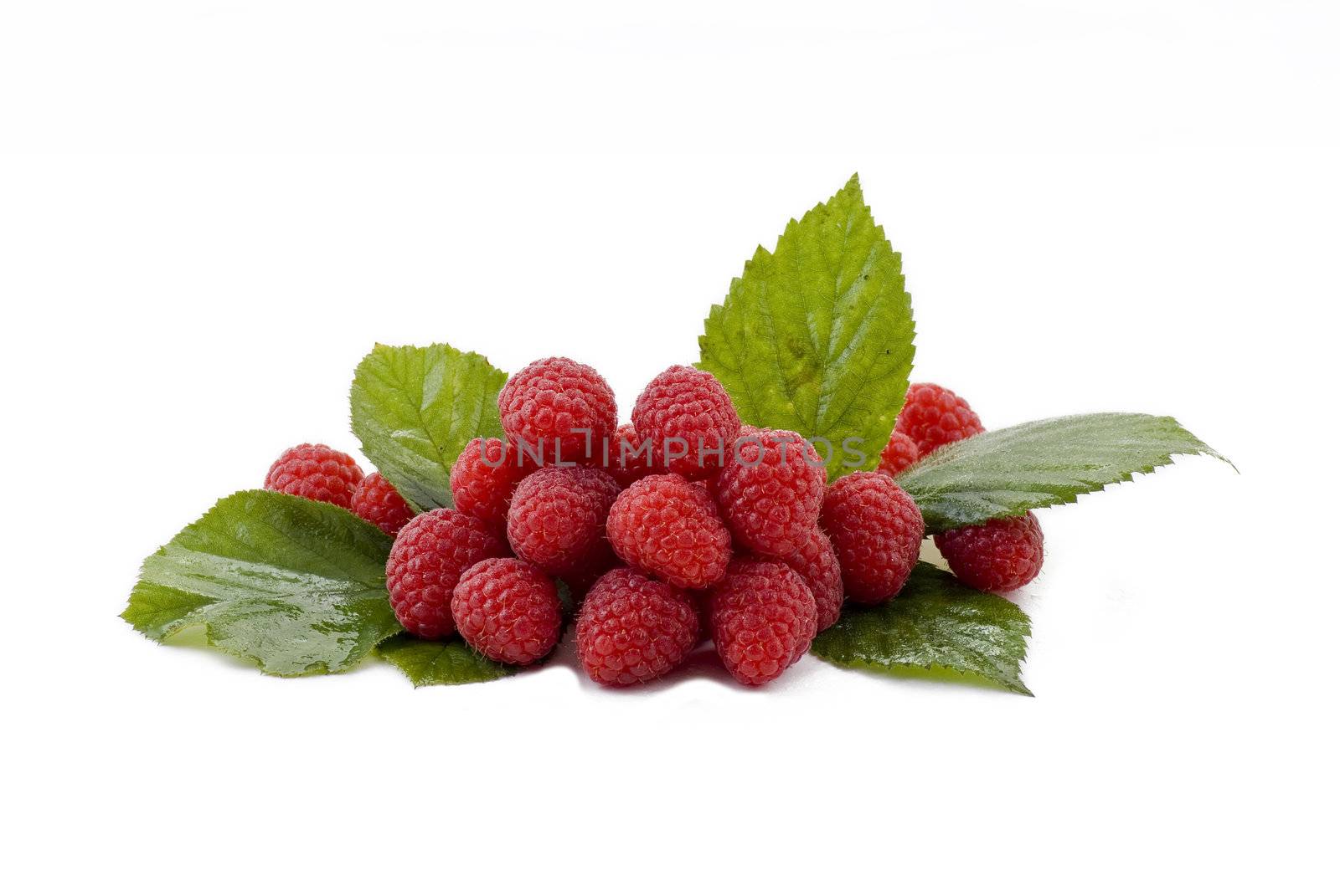 Fresh raspberries with green leaves on the white bacground
