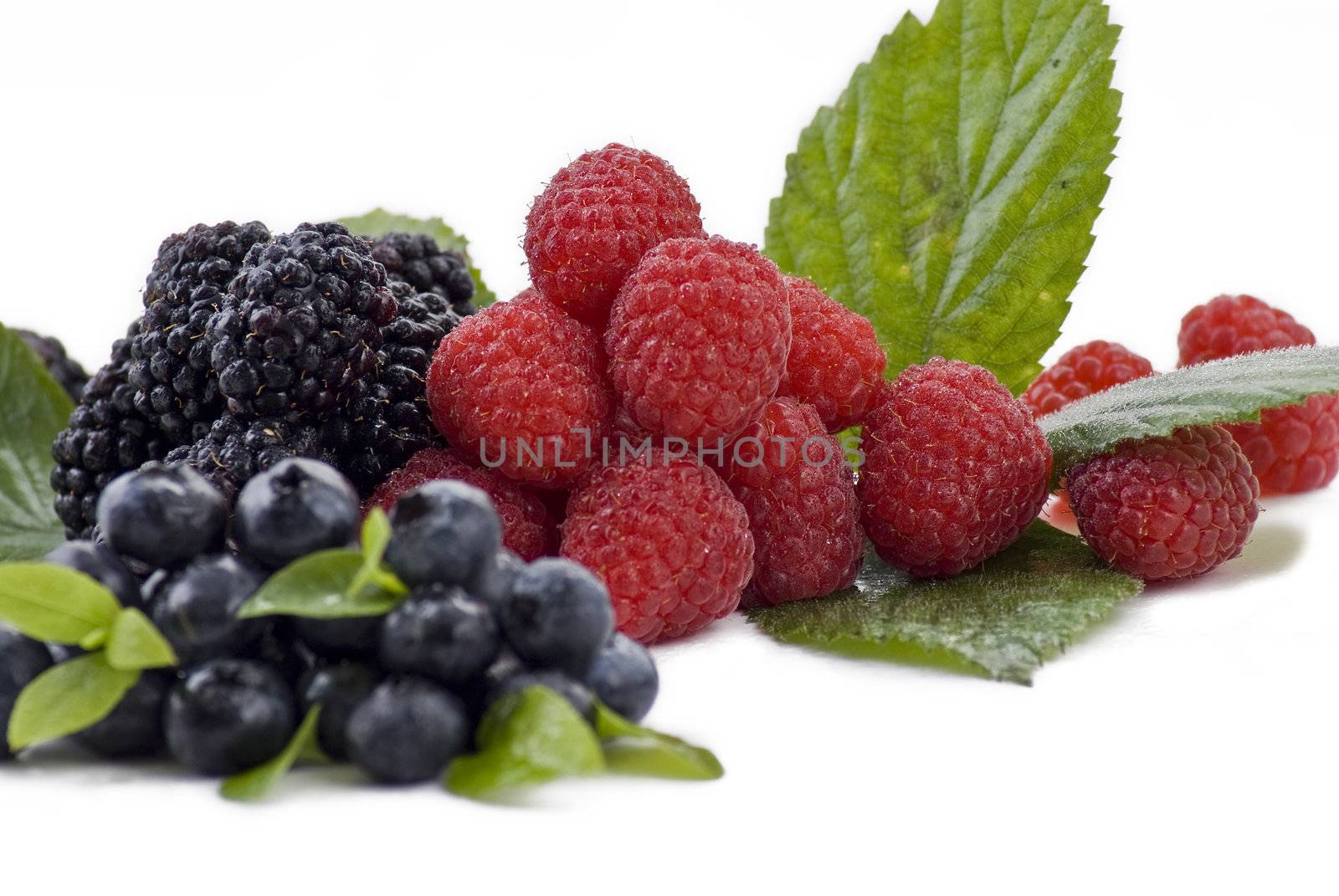Asorted fresh summer berries on the white background