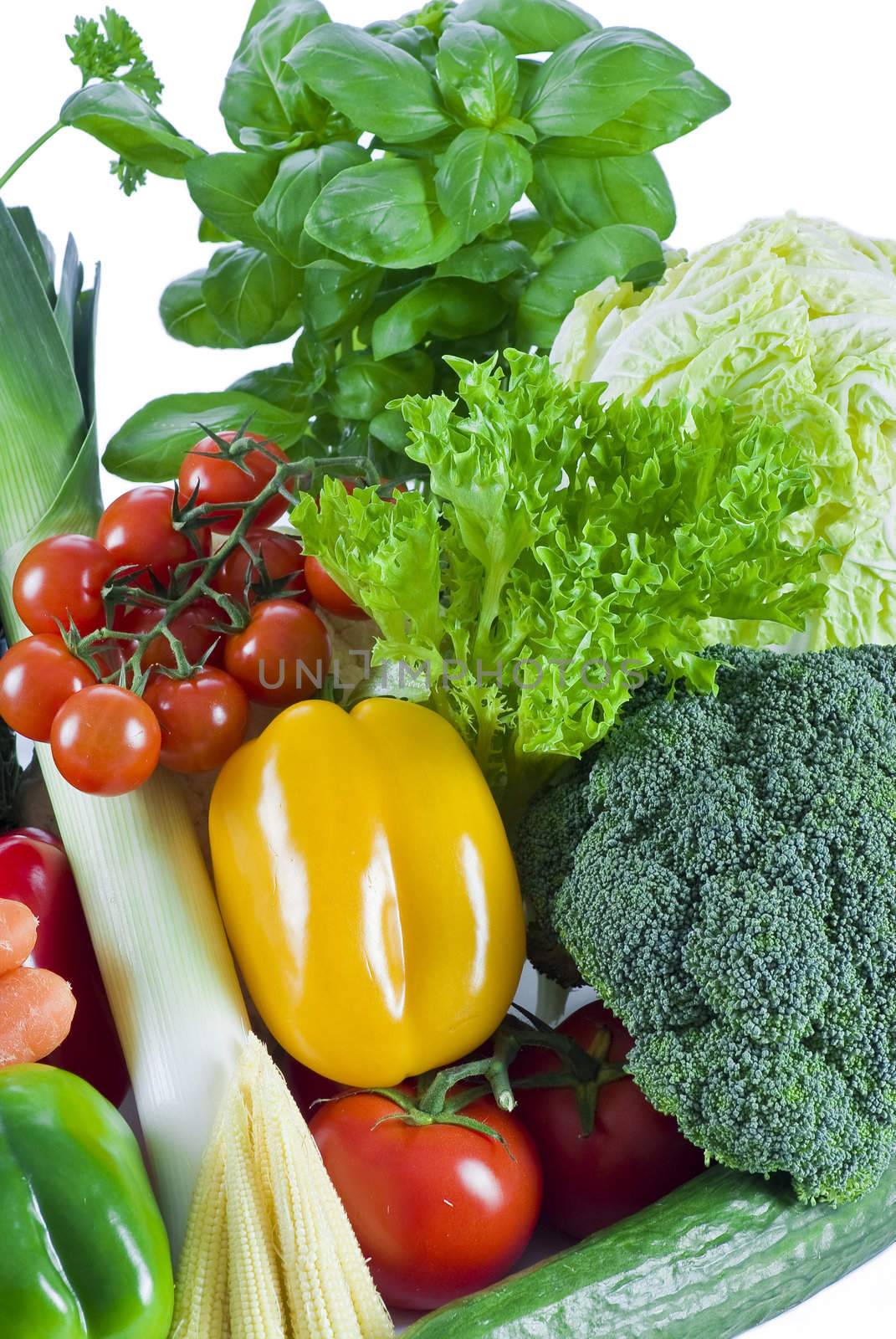 Fresh vegetables and herbs on the white background