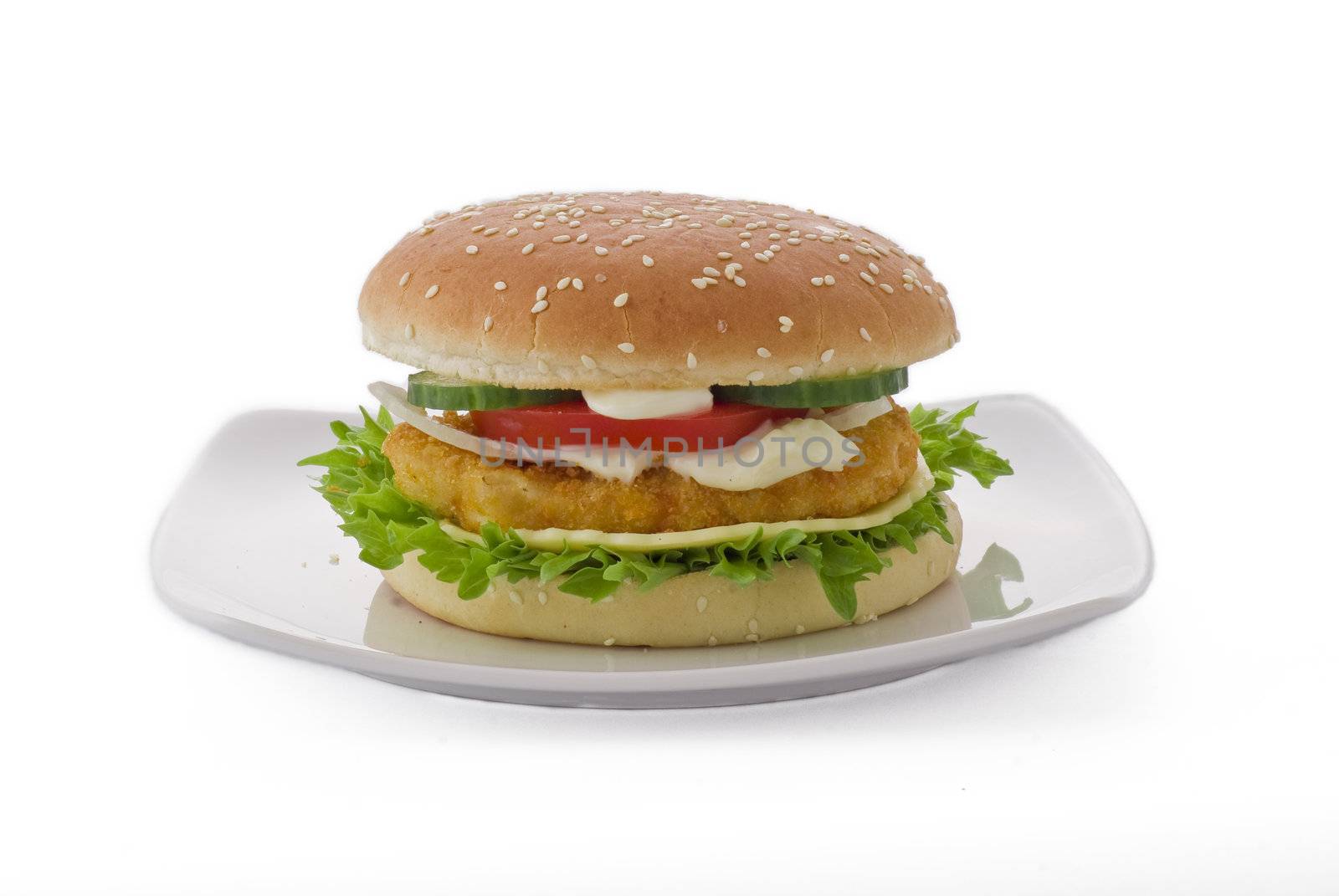 Chicken cheese burger on white background - isolated