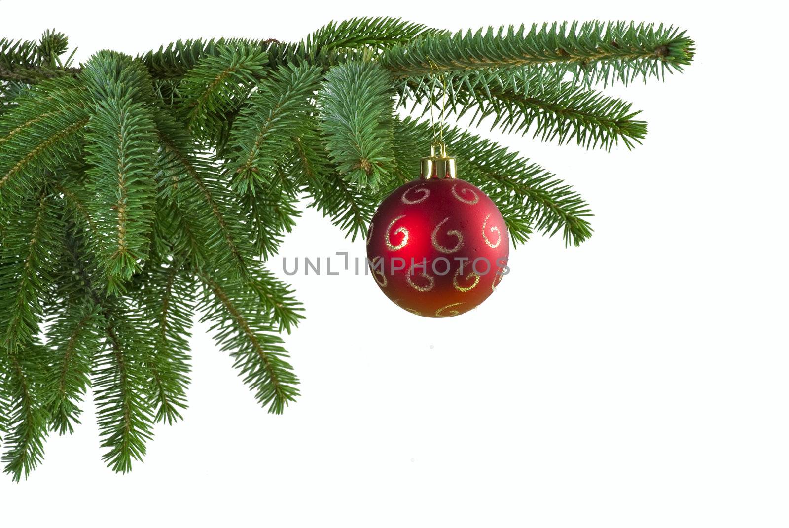 Red Christmas ball on green spruce branch - isolated