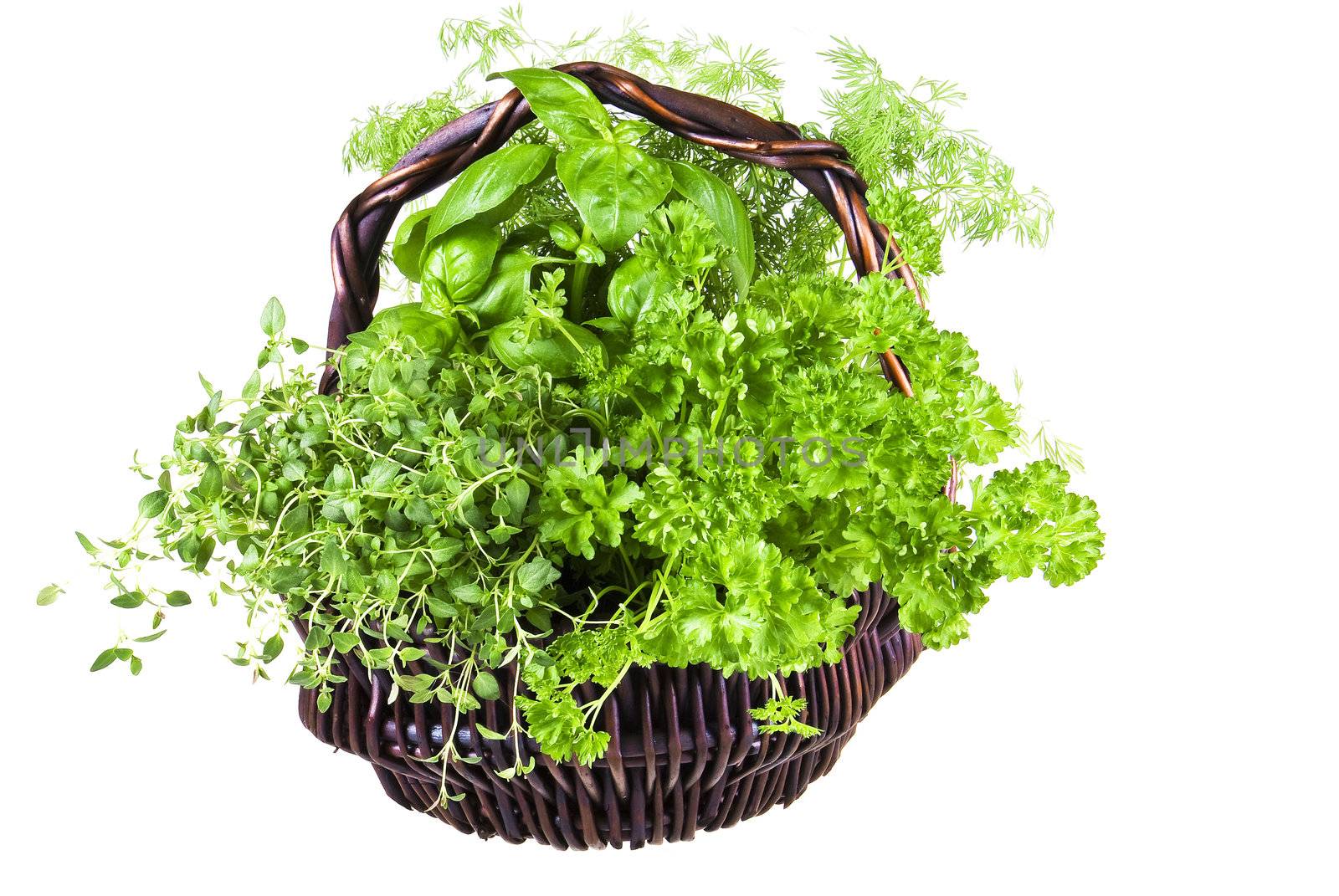 Basket of herbs by caldix