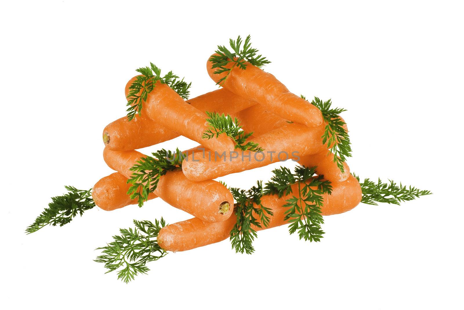 Carrots by caldix